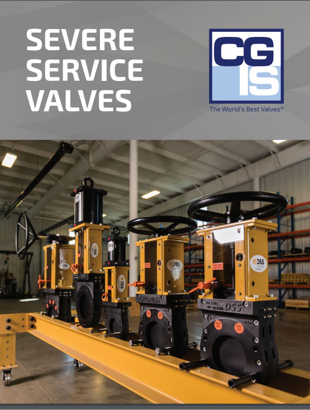 Valve Basics • CGIS: Valves, Actuators & Accessories for Severe Service