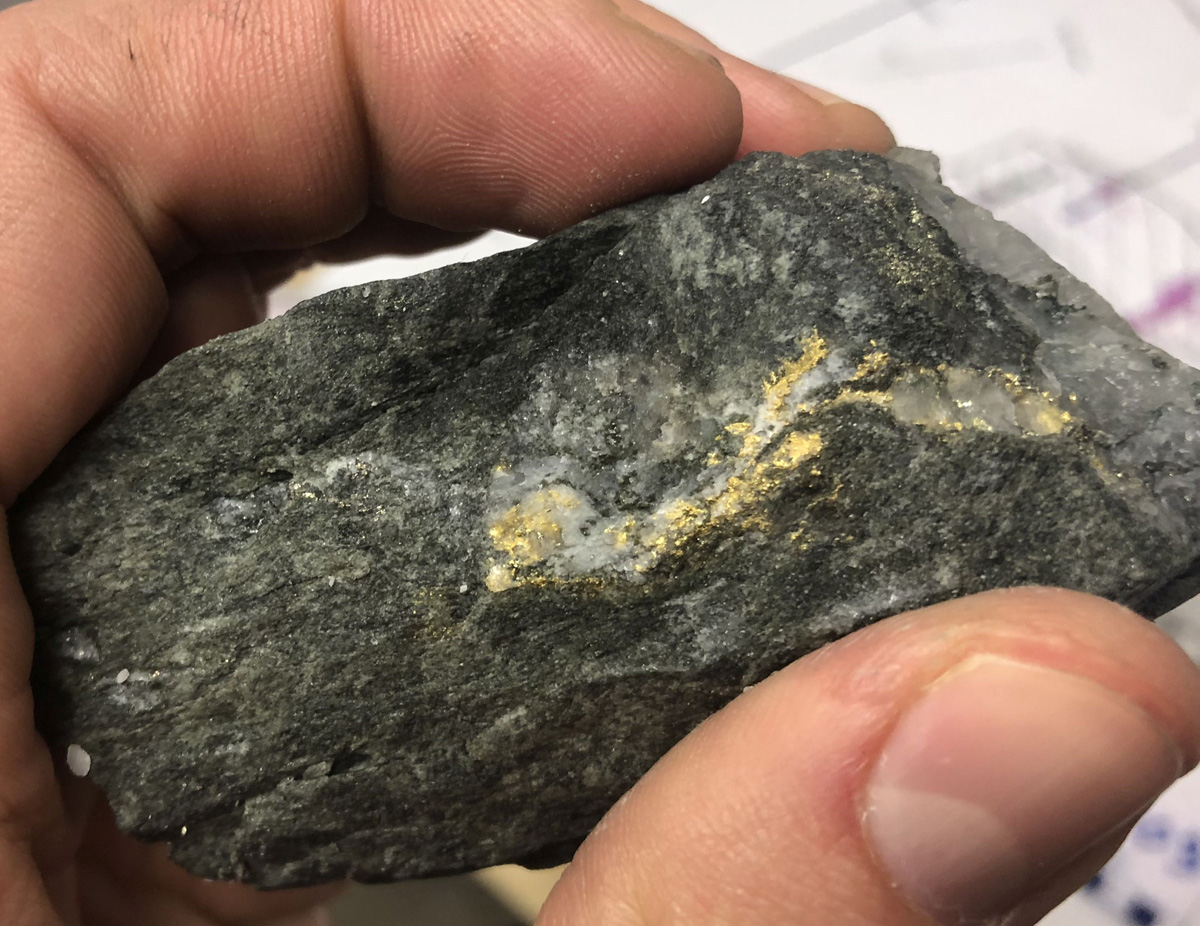 Visible gold in core at Wallbridge Mining's Fenelon project in Quebec's Abitibi. Credit: Wallbridge Mining